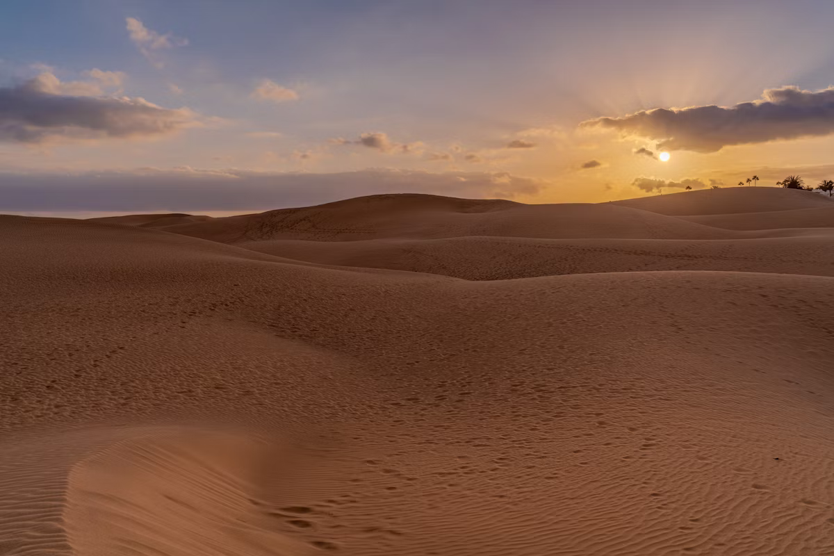 Dunas de Maspalomas, Gran Canaria — viviendas en venta con Ziegel